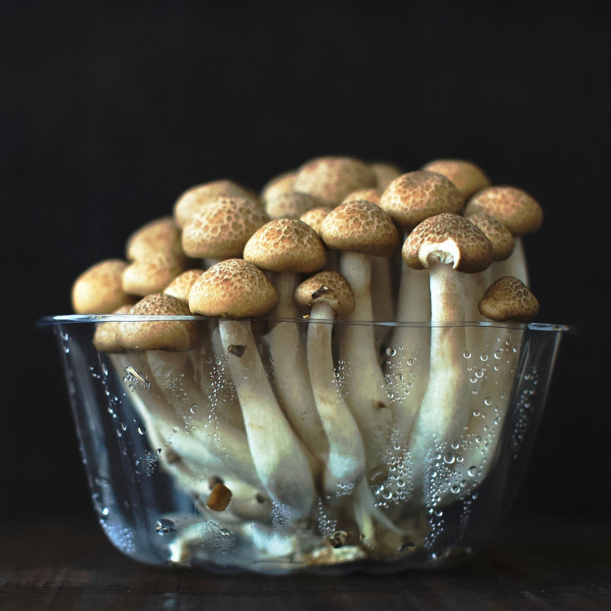 9 Creative and Tasty Ways to Preserve Mushrooms