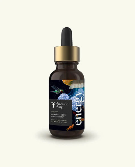Mushroom Elixirs