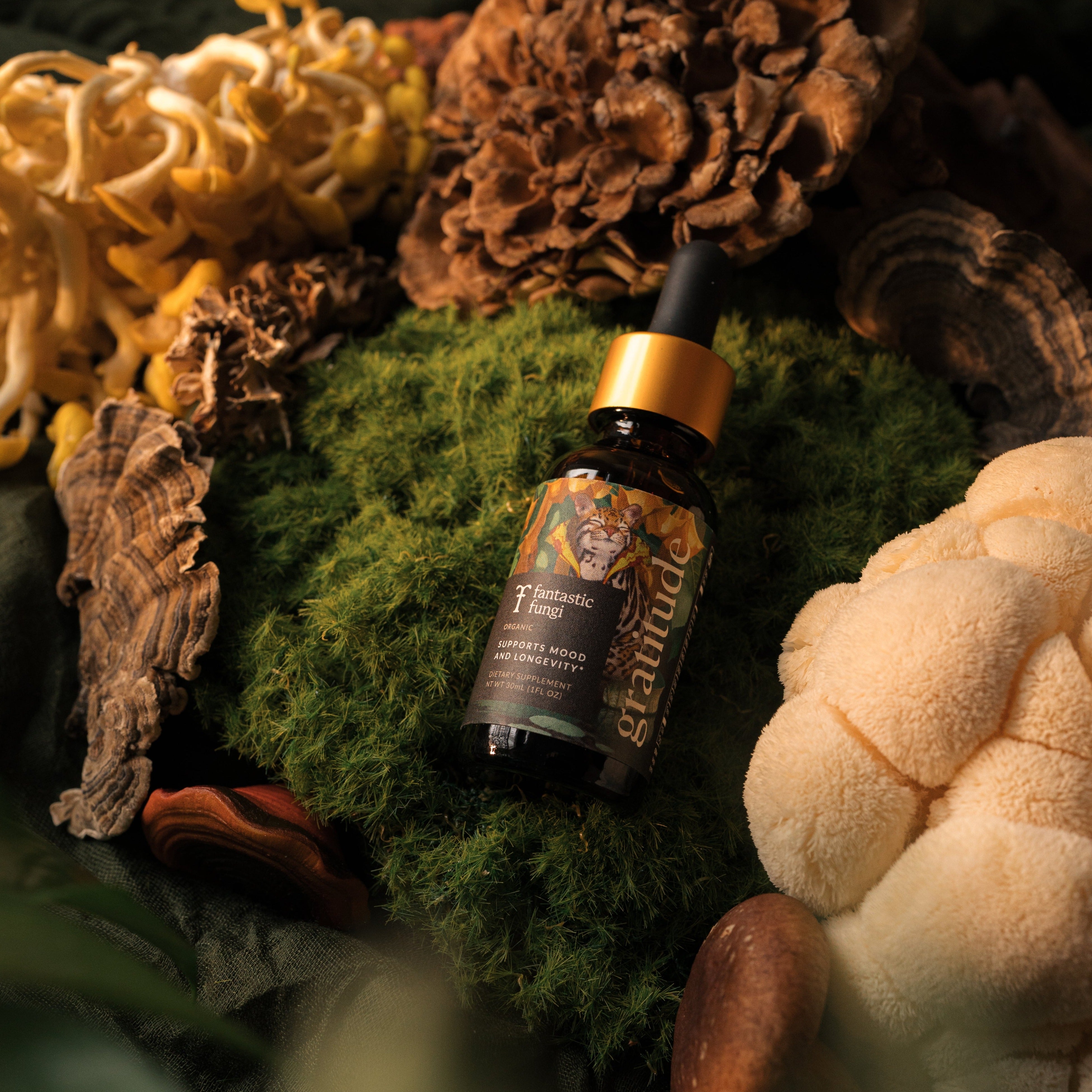 Gratitude flat lay 2.jpg__PID:7899738b-8475-4d85-93b3-ae9d58cc73b1