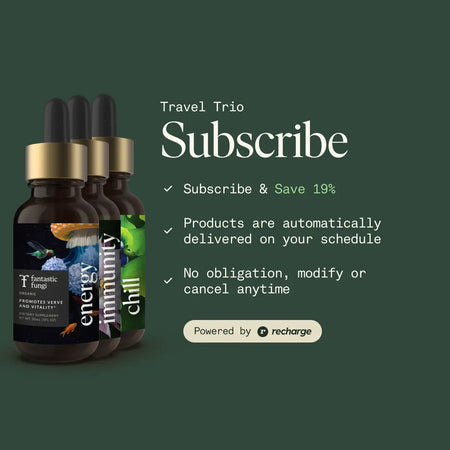Travel Trio