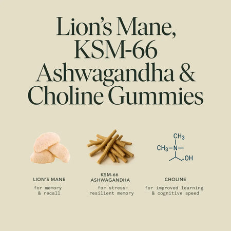 Memory Gummies