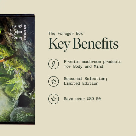 Fall Forager Box
