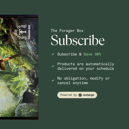 Fall Forager Box