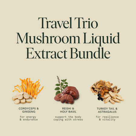 Travel Trio