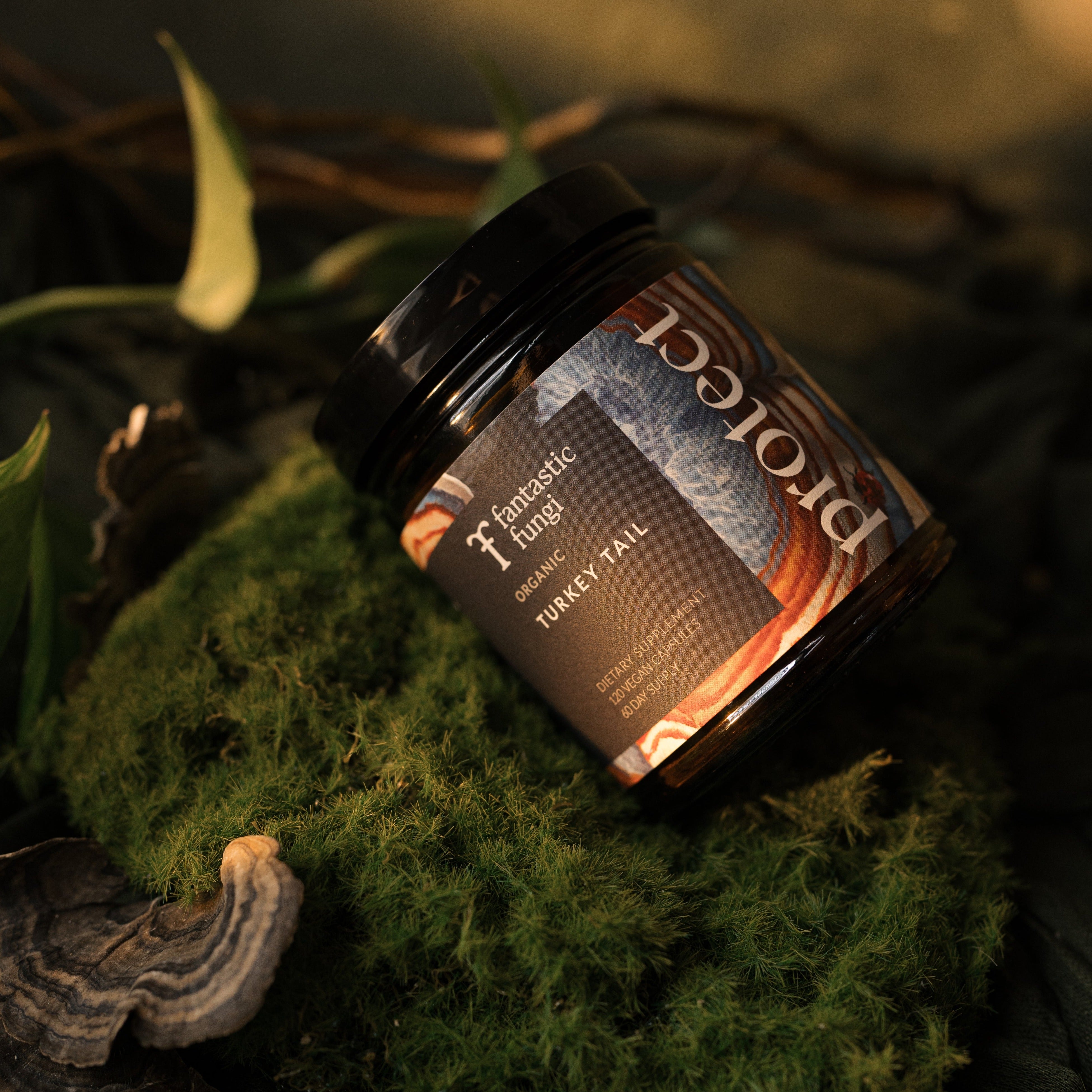 Protect Capsules (60 Day)