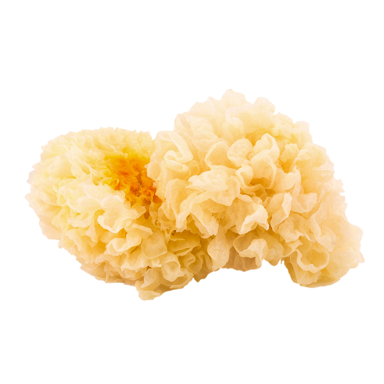 Tremella