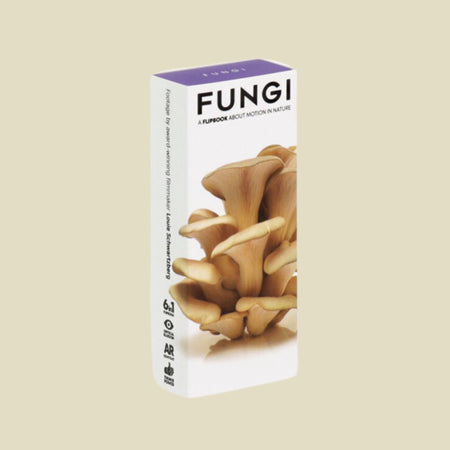Fall Forager Box