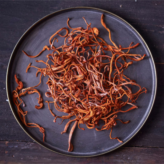 Why Cordyceps Belongs in Your Workout Prep and Recovery Routine