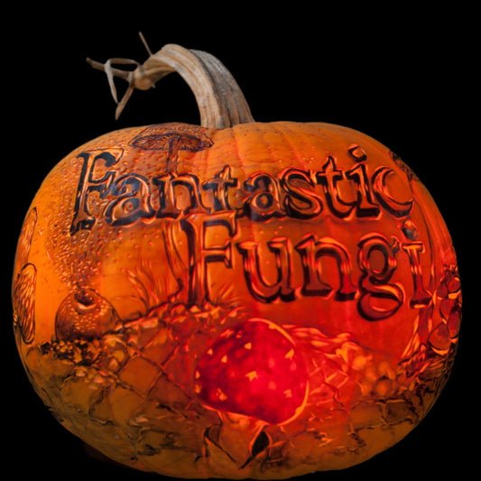 Just in Time for Halloween, 5 Fun and Freaky Facts about Mushrooms