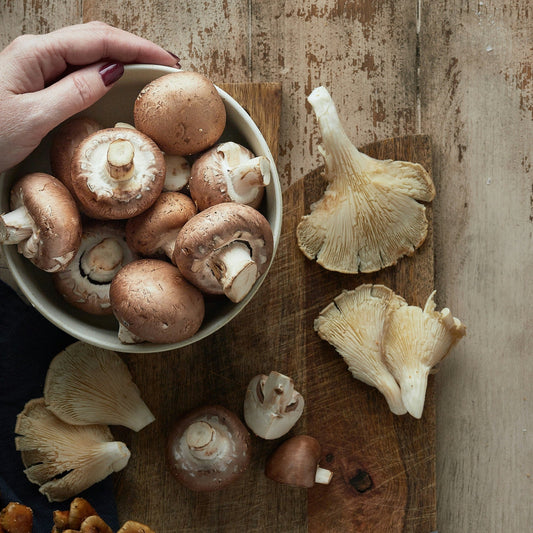 26 Ways to Take Care of Yourself and Others in 2026