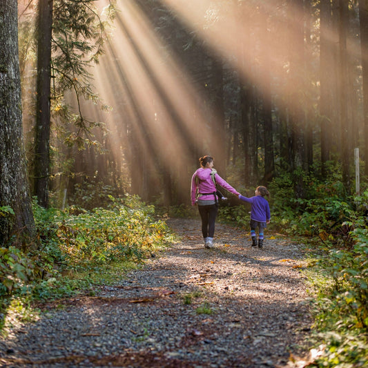 Gratitude in Action: Mushrooms & Rituals for Mind and Body