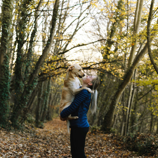 15 Habits for a Healthy Immune System