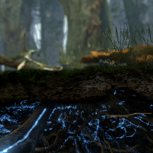 10 Things to Know about the Mycelial Network