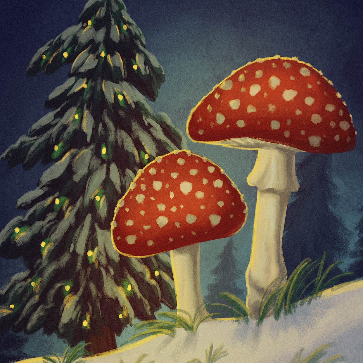 The Fantastic Fungi Holiday Gift Guide