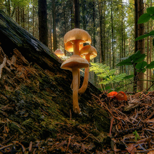 Why September Might Be the Best Month to Get Outside
