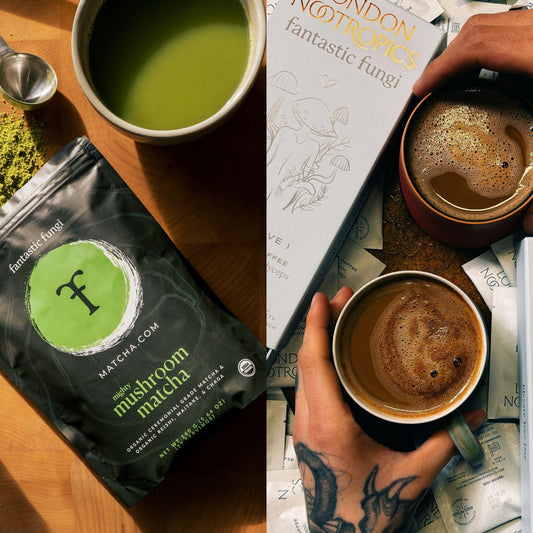 Mushroom Coffee vs. Matcha: Can You Pick a Favorite?