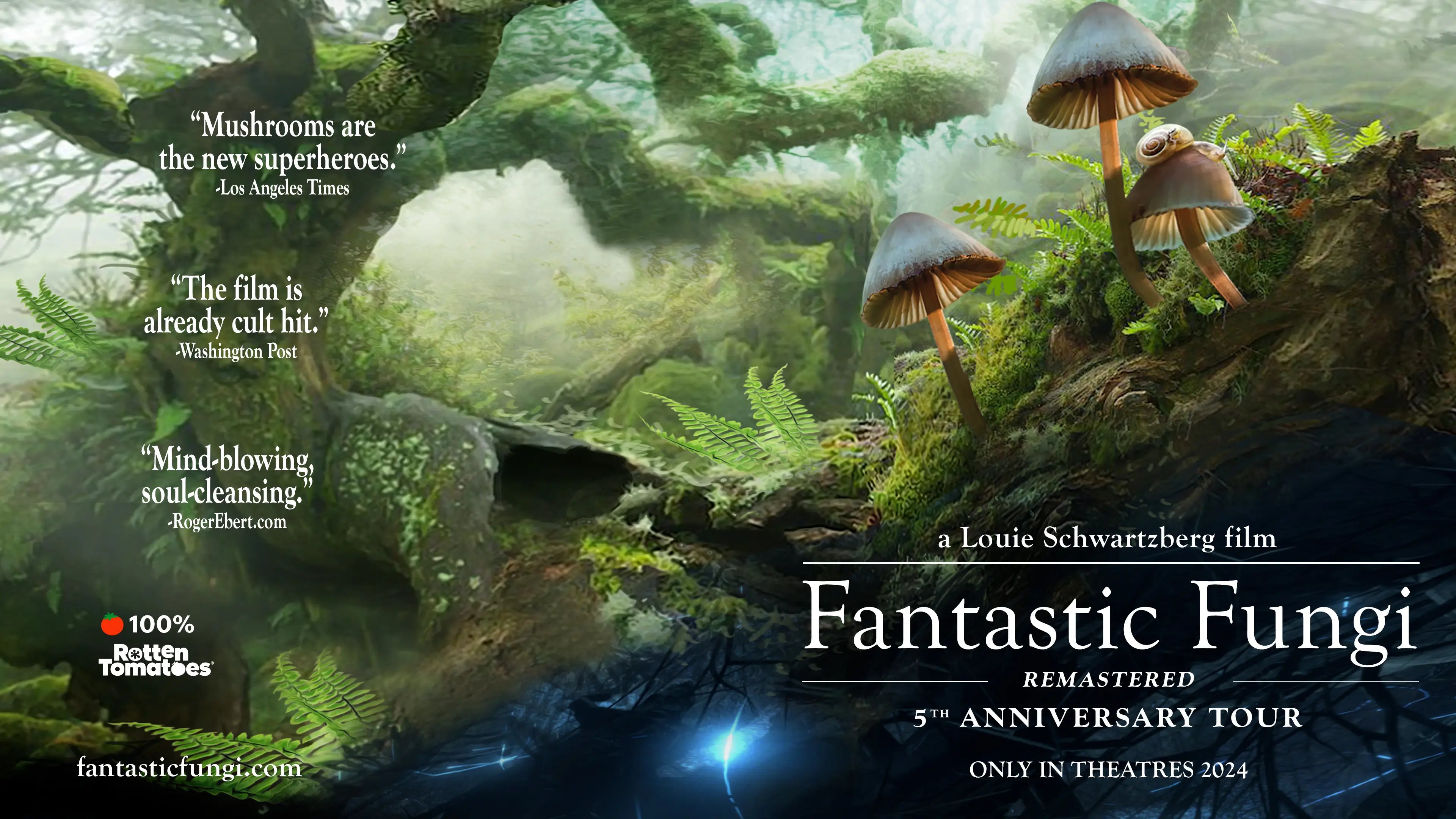 Fantastic Fungi Film fantastic-fungi-film