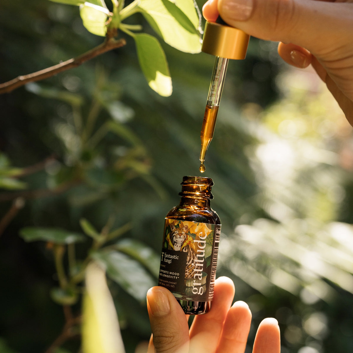 Gratitude Elixir