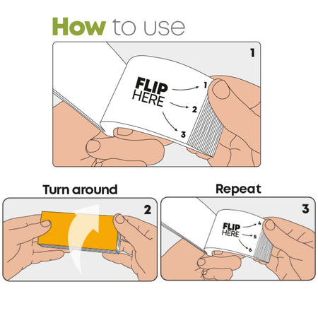 Fungi Flip Book