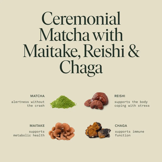 Mighty Mushroom Matcha