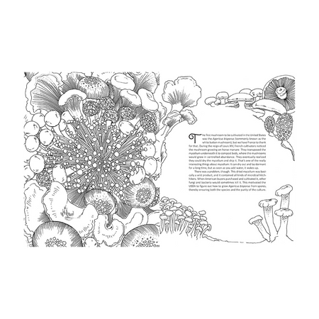 Fantastic Fungi Coloring Book