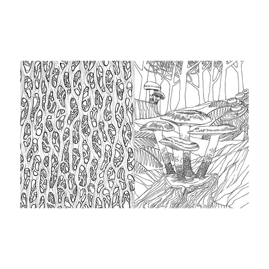 Fantastic Fungi Coloring Book