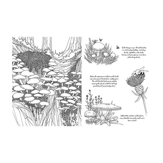 Fantastic Fungi Coloring Book